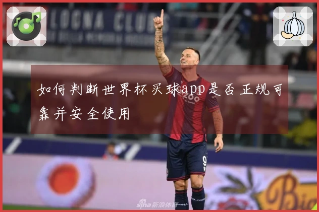 如何判断世界杯买球app是否正规可靠并安全使用