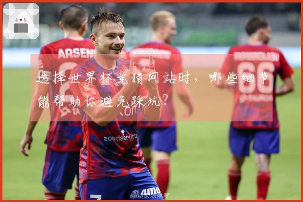 选择世界杯竞猜网站时，哪些细节能帮助你避免踩坑？