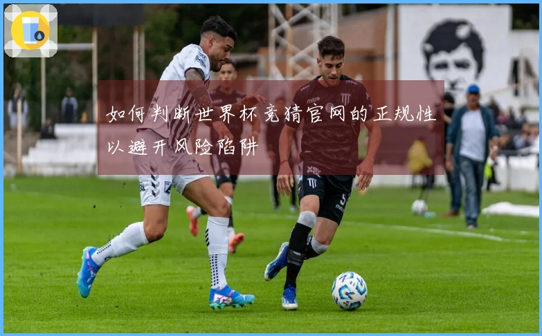 如何判断世界杯竞猜官网的正规性以避开风险陷阱