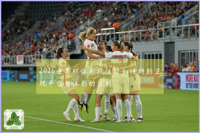 2026世界杯体彩投注时如何辨别正规平台与体彩的区别